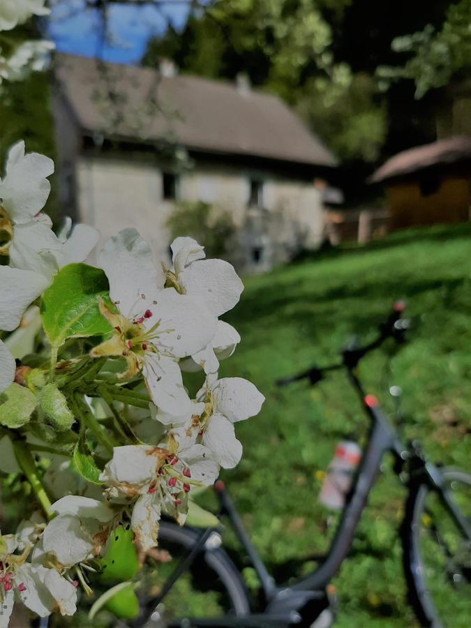 Ferienhaus Hirschnest Sankt Pankraz Ngoại thất bức ảnh