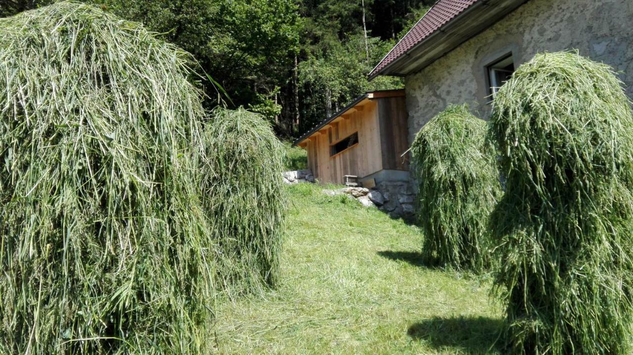 Ferienhaus Hirschnest Sankt Pankraz Ngoại thất bức ảnh